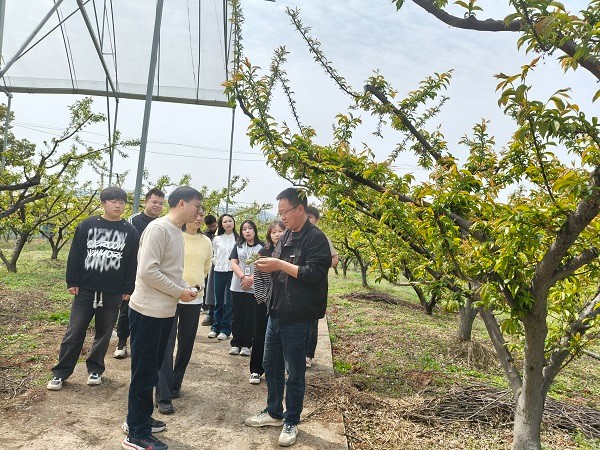 hjc888黄金城--手机版app官网